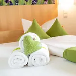 Hotel Alpenblick 3*