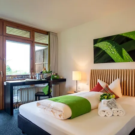 Alpenblick Hotel 3*